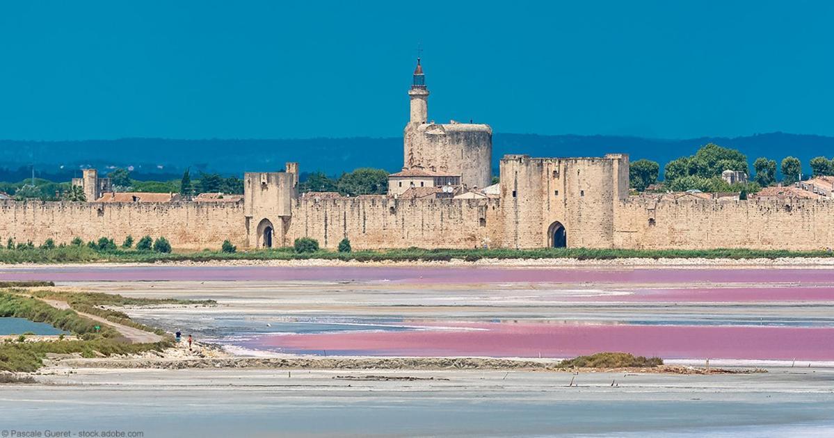 Vacances En Camargue Proche De La Mer Climatise Aigues-Mortes Eksteriør bilde