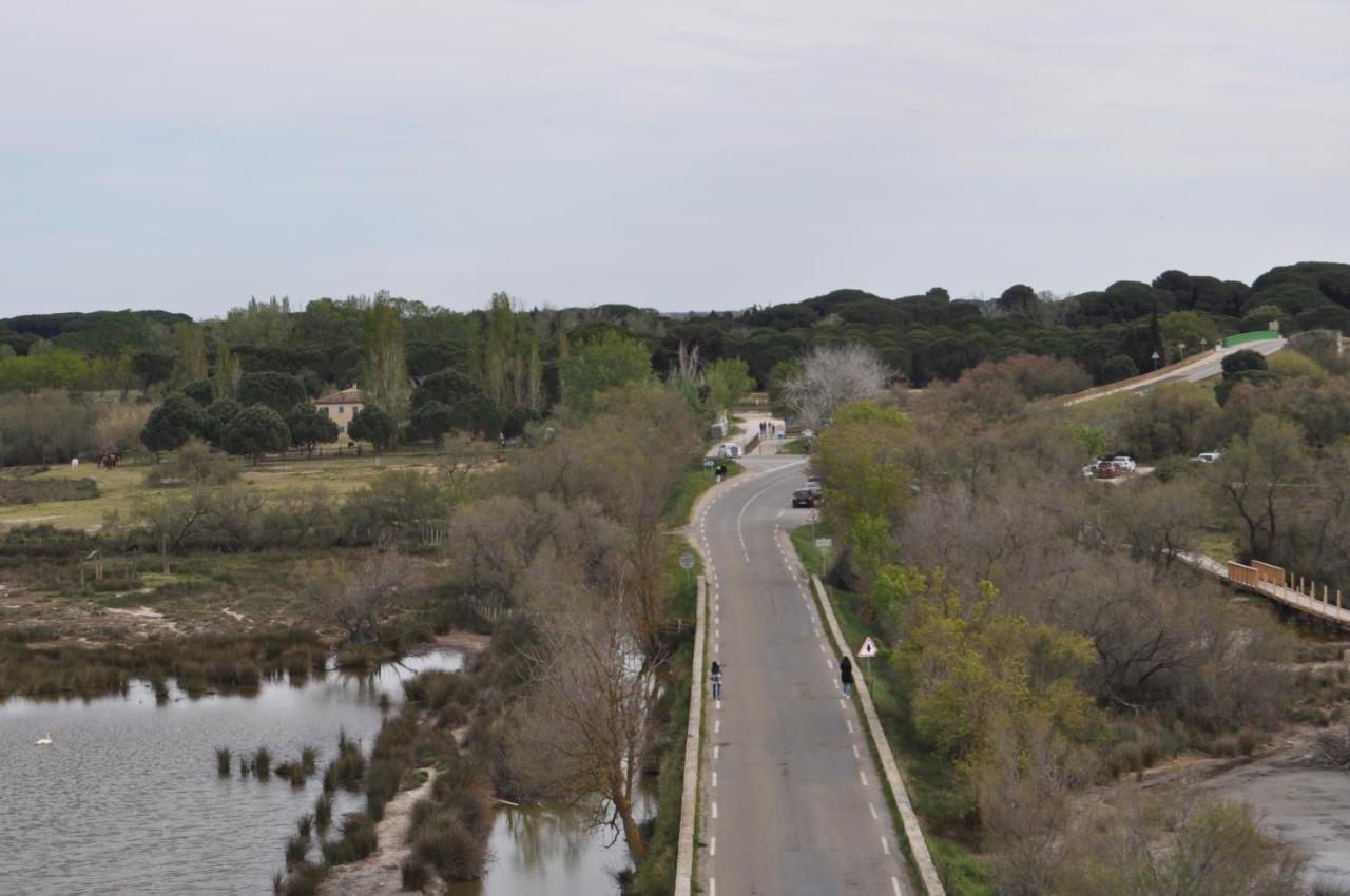 Vacances En Camargue Proche De La Mer Climatise Aigues-Mortes Eksteriør bilde